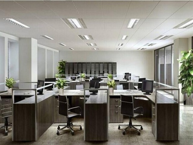 深圳宝安西乡抽真空野鸡蛋托批发厂家